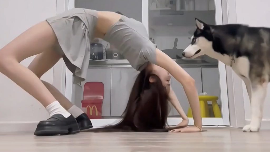 小狗不能打扰锻炼两性知识-两性健康-两性心理-两性技巧两性知识丨两性健康--你想了解的我都知道