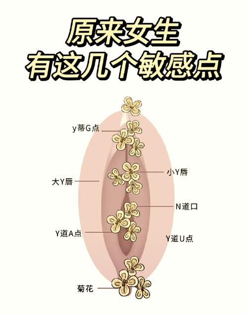 女生没有敏感点