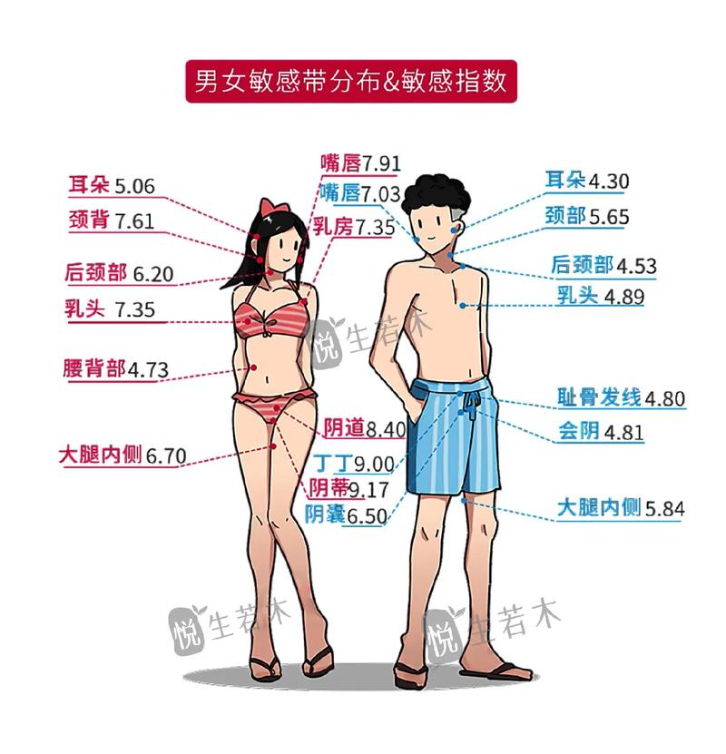 男女敏感点图揭秘：2025科学图解与3步激活指南两性知识-两性健康-两性心理-两性技巧两性知识丨两性健康--你想了解的我都知道