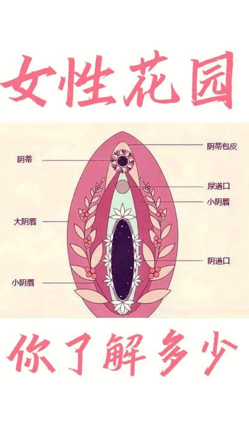 女人的阴蒂是敏感的吗