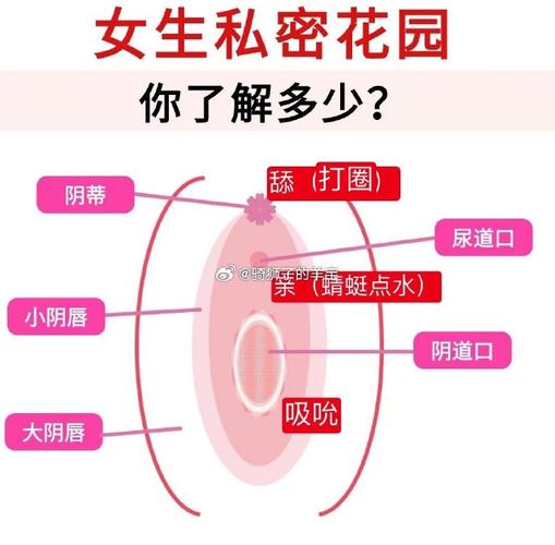 女生的七个敏感区