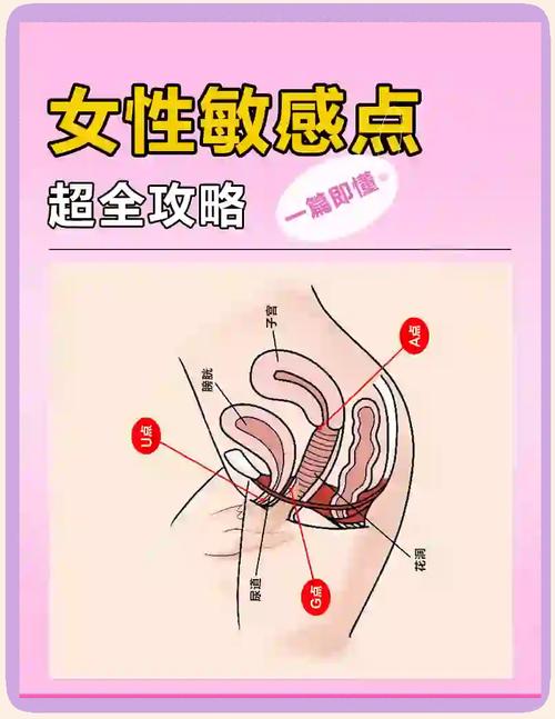 女生的敏感点有哪些地方｜女性身体敏感区域分布图详解两性知识-两性健康-两性心理-两性技巧两性知识丨两性健康--你想了解的我都知道