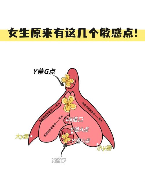 女生的敏感点有哪些地方