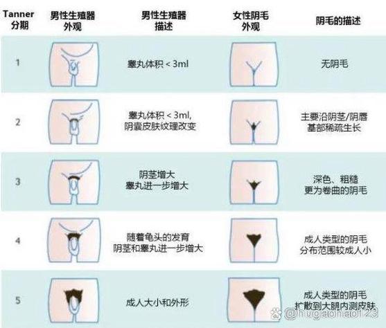 女性阴毛敏感？瘙痒脱皮3步护理法速效缓解80%不适两性知识-两性健康-两性心理-两性技巧两性知识丨两性健康--你想了解的我都知道