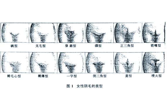 女性阴毛敏感