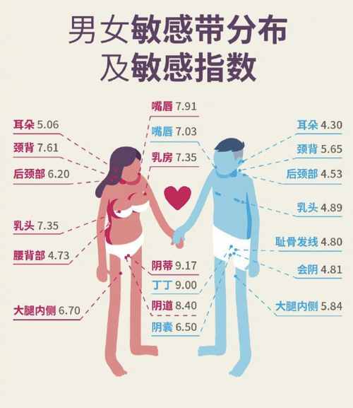 人体敏感区域