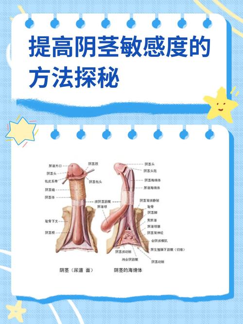 根部敏感怎么破？3个行为训练法提升控制力两性知识-两性健康-两性心理-两性技巧两性知识丨两性健康--你想了解的我都知道