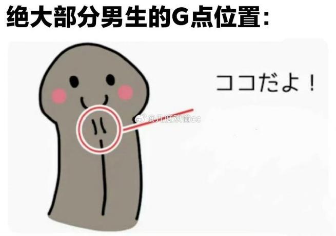 男性敏感位置详解，系带刺激技巧提升快感300%两性知识-两性健康-两性心理-两性技巧两性知识丨两性健康--你想了解的我都知道