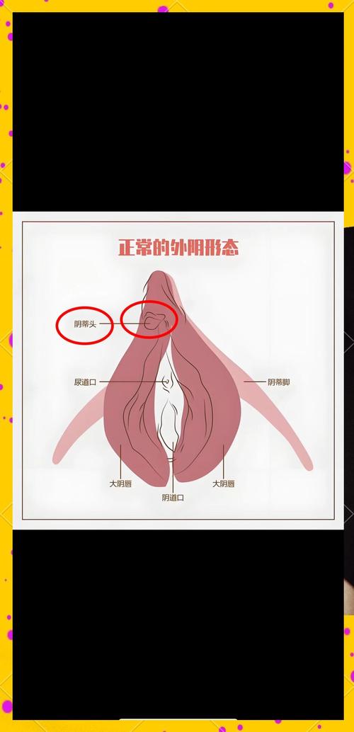 阴蒂是敏感部位吗？2025年敏感度下降的5大原因与权威解决方案两性知识-两性健康-两性心理-两性技巧两性知识丨两性健康--你想了解的我都知道
