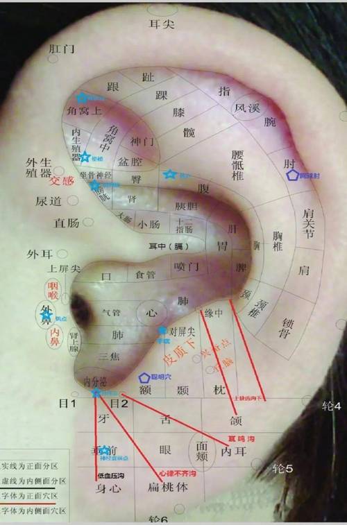 耳朵敏感点按摩方法？3步科学刺激指南两性知识-两性健康-两性心理-两性技巧两性知识丨两性健康--你想了解的我都知道