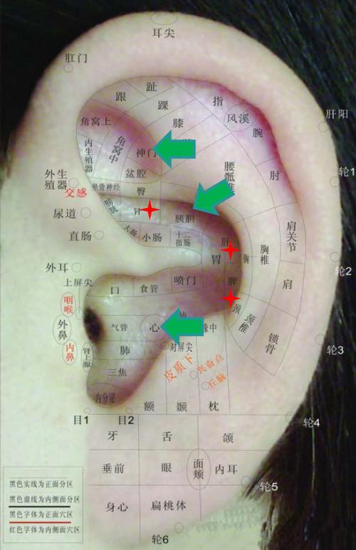 耳朵敏感点