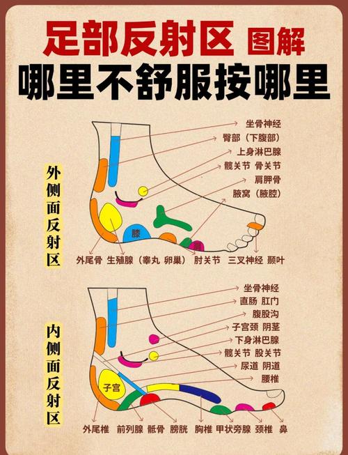 女性脚的敏感区在哪？3步精准定位法，敏感度提升50%两性知识-两性健康-两性心理-两性技巧两性知识丨两性健康--你想了解的我都知道