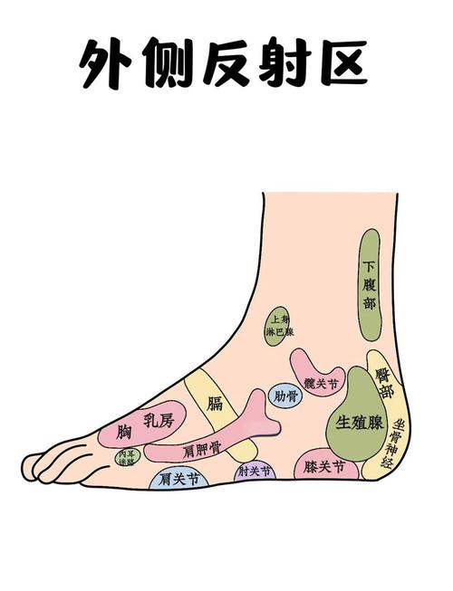 女性脚的敏感区