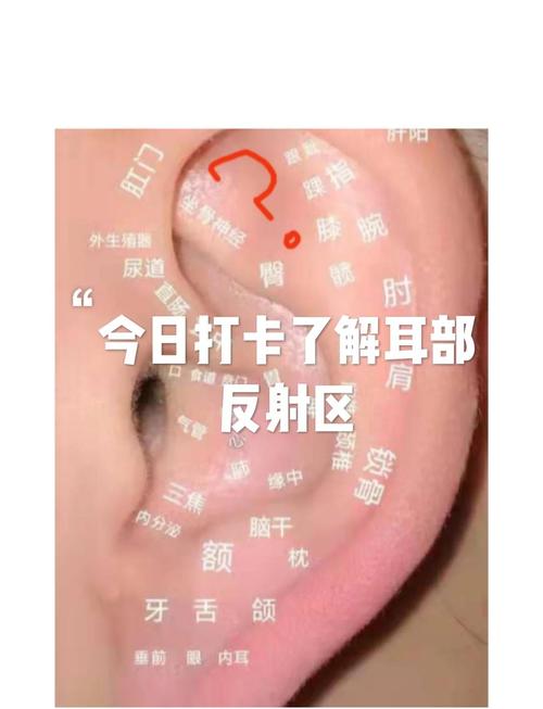 女生耳朵是敏感区