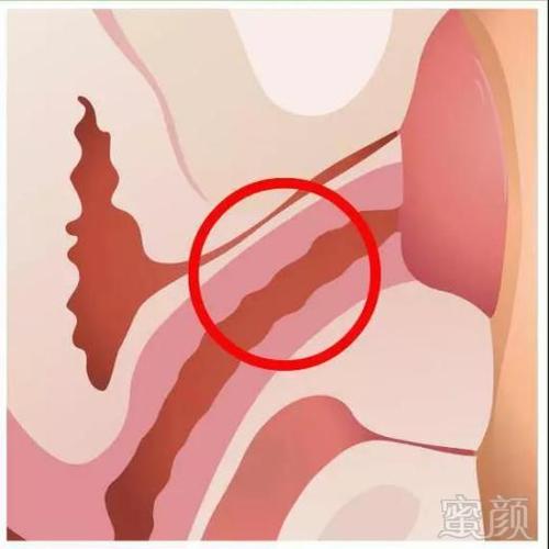 阴道内敏感区解析｜G点位置与5个刺激技巧实测两性知识-两性健康-两性心理-两性技巧两性知识丨两性健康--你想了解的我都知道