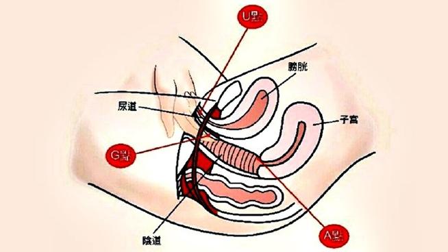 阴道不敏感全解析，这些信号你忽视了吗 - 两性知识丨两性健康-你想了解的我都知道两性知识-两性健康-两性心理-两性技巧两性知识丨两性健康--你想了解的我都知道