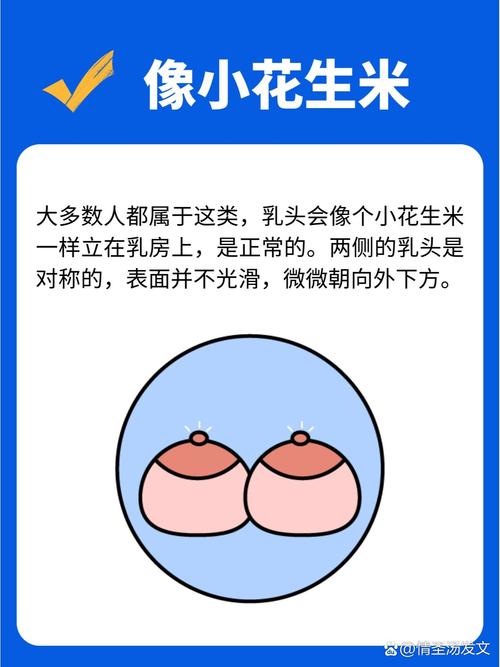 乳头突出敏感