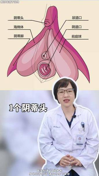 阴蒂敏感度下降原因,5步重启愉悦指南 - 两性知识丨两性健康-你想了解的我都知道两性知识-两性健康-两性心理-两性技巧两性知识丨两性健康--你想了解的我都知道